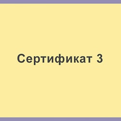 Сертификат 3